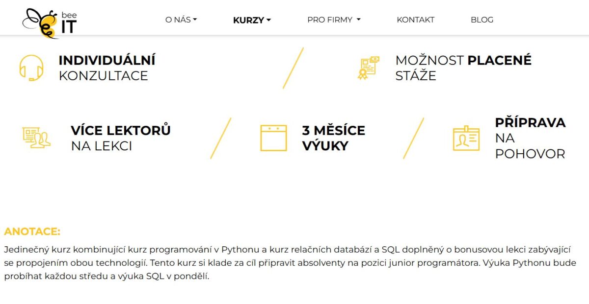 Kurz programování Python a SQL od beeIT